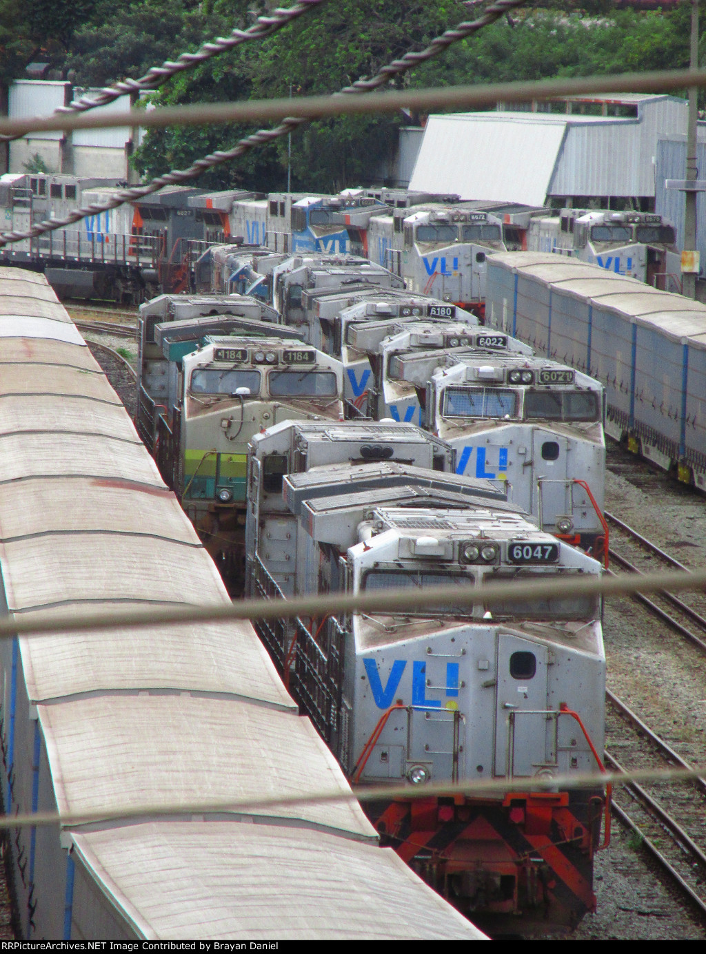VLI 6047